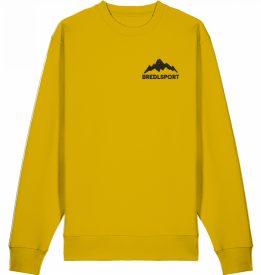 Sweater-VS-dunkel-ochre