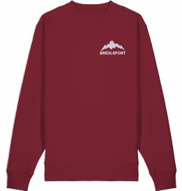 Sweater-VS-hell-burgundy
