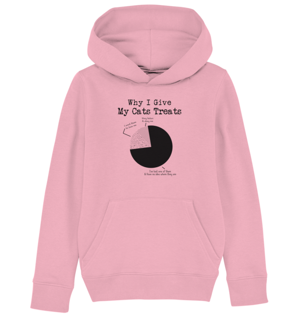 Why I Give - Kids Organic Hoodie